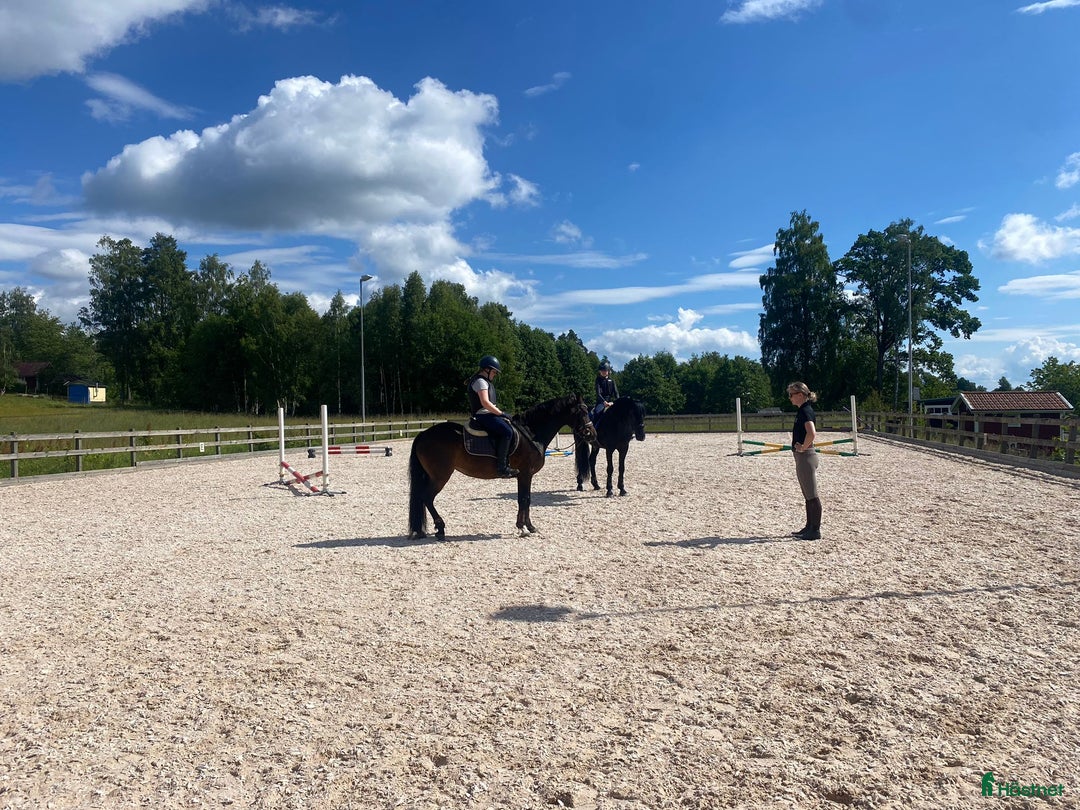  stallplats finnes: Lediga stallplatser i mysigt stall i Habo - Annons 8