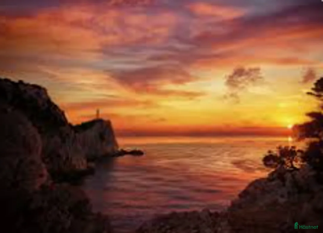 Sällskap hästar sökes: Jag söker en medryttare häst  i Helsingborg - Annons 1