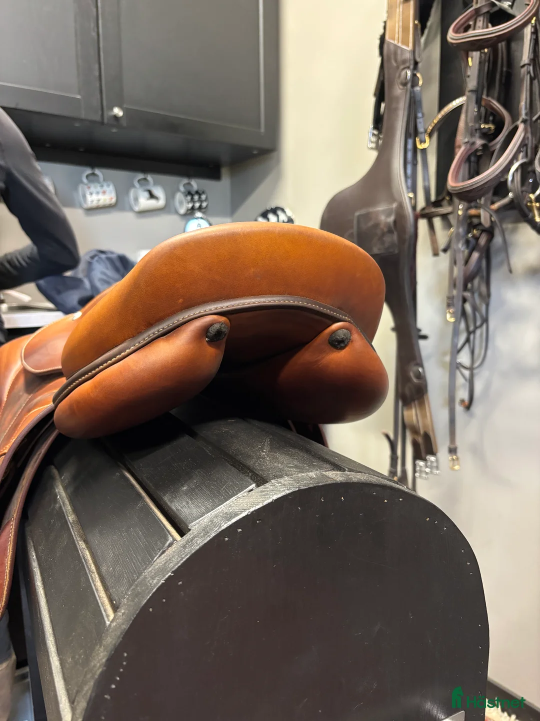 Sadlar hästutrustning till salu: Renaissance / F2  - Annons 3