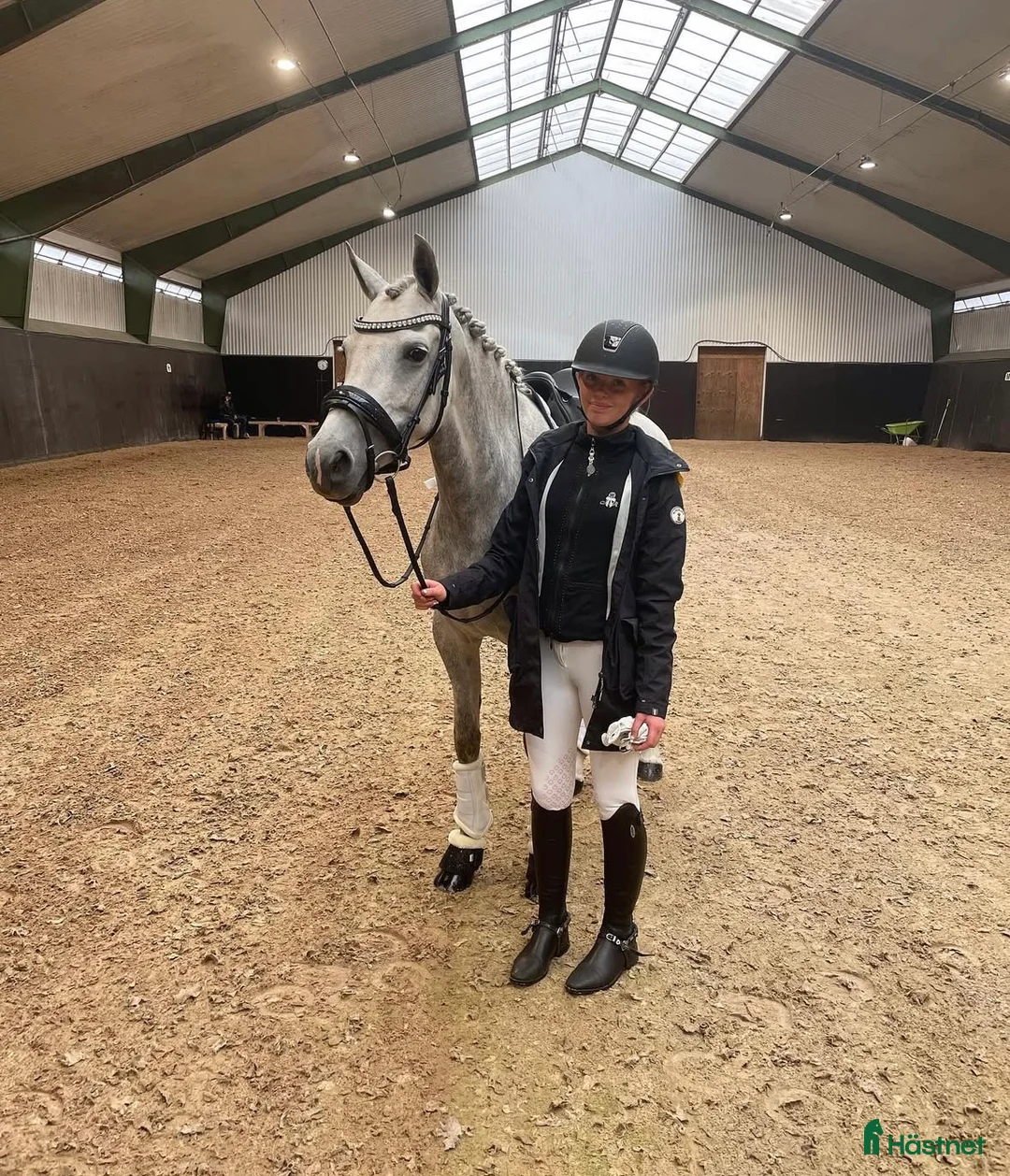 Dressyr hästar till salu: Världens bästa ponny - Annons 1