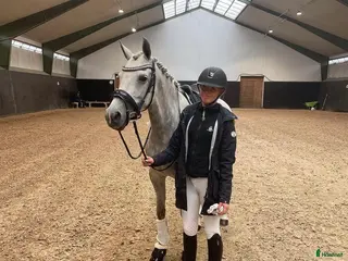 hästar Världens bästa ponny - Annons 11