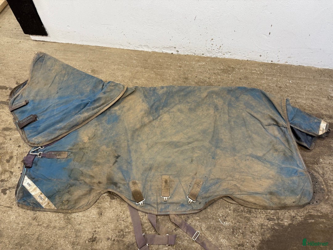 Täcken hästutrustning till salu: Rhino Turnout 100g strl 145cm i Rävlanda - Annons 1