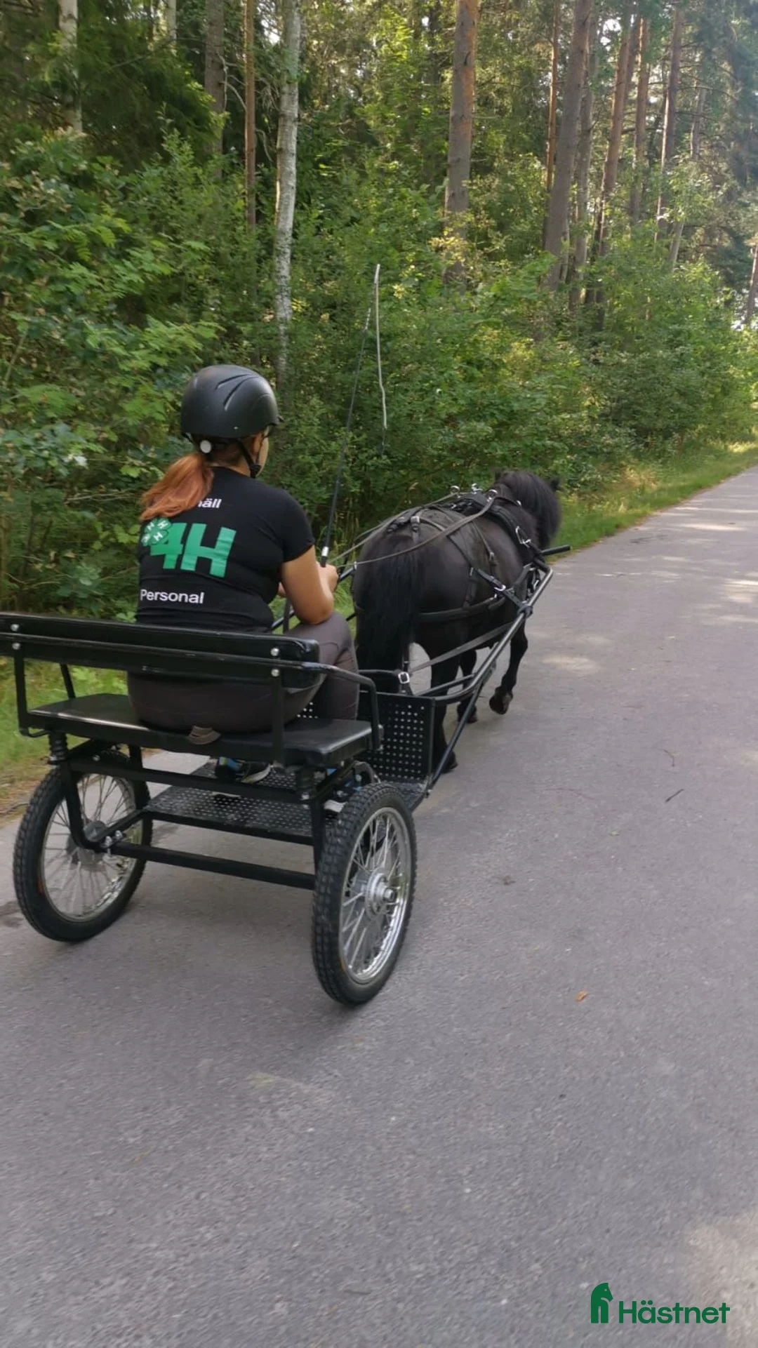 Körning hästar sökes: Ny kollega sökes till mindre gård! 🐴 - Annons 2