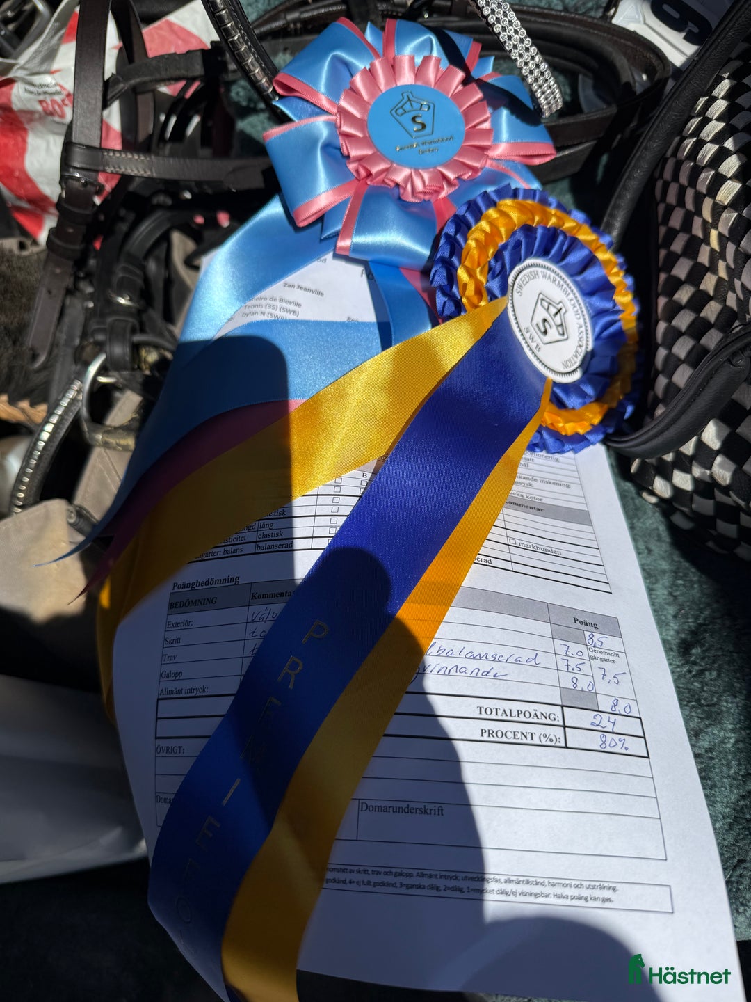 Avelshästar hästar till salu: Paketpris  i Vedevåg - Annons 2