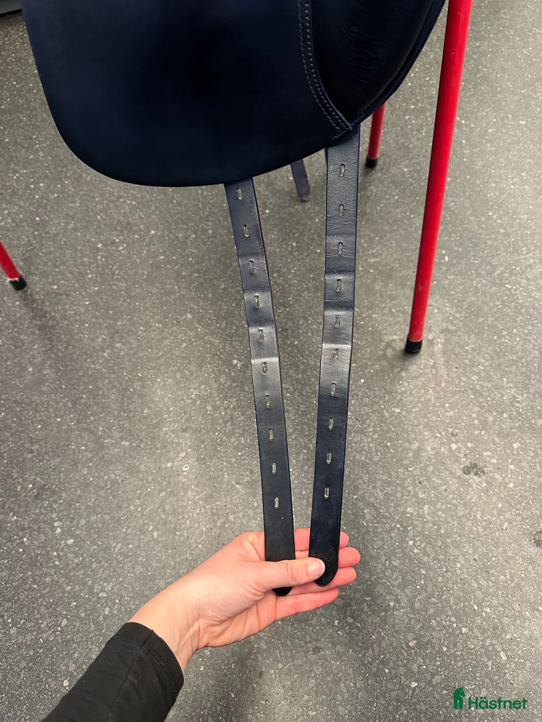 Sadlar hästutrustning till salu: Amerigo DJ Iceland 17” i toppskick - Annons 9