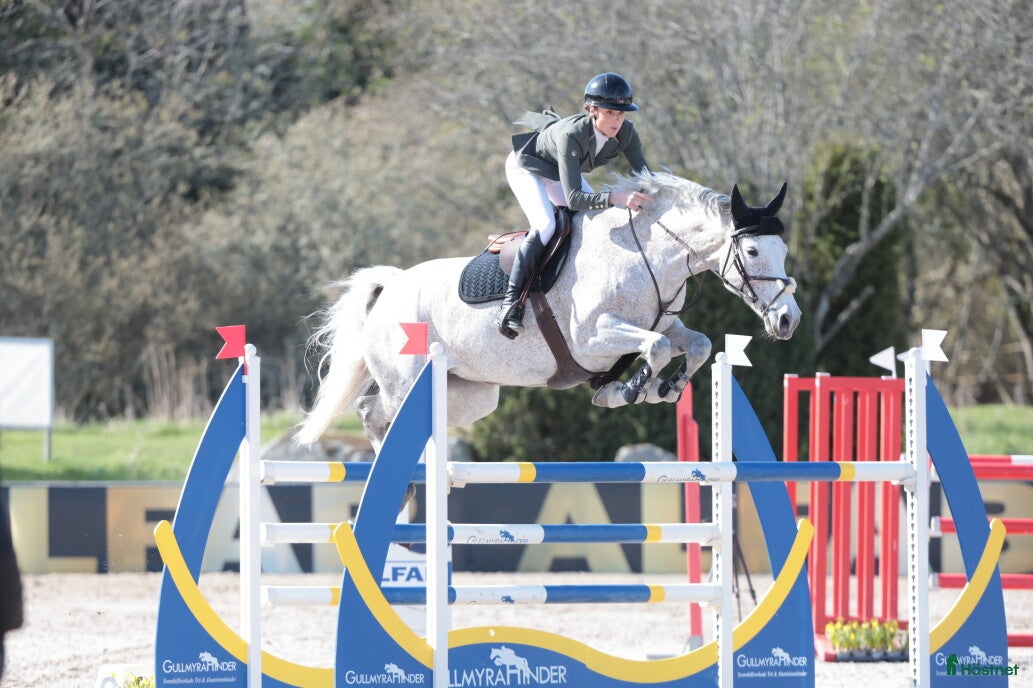  hästservice finnes: Inridning, utbildning, försäljning, tävling  - Annons 3