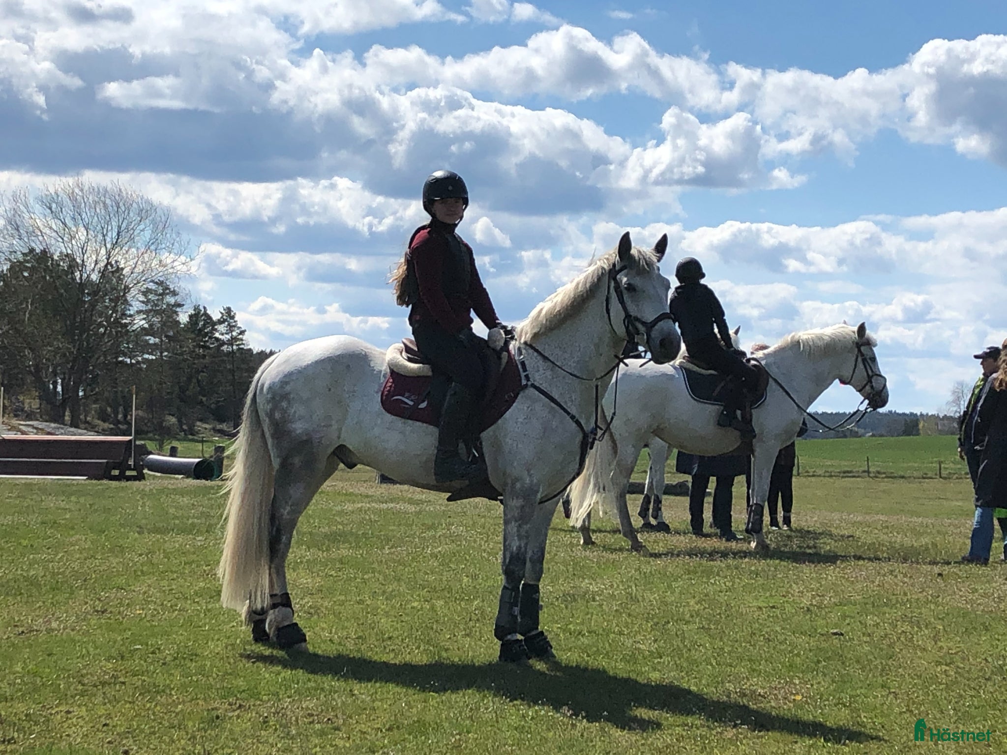  hästar Fantastisk maxad D-ponny - Annons 2