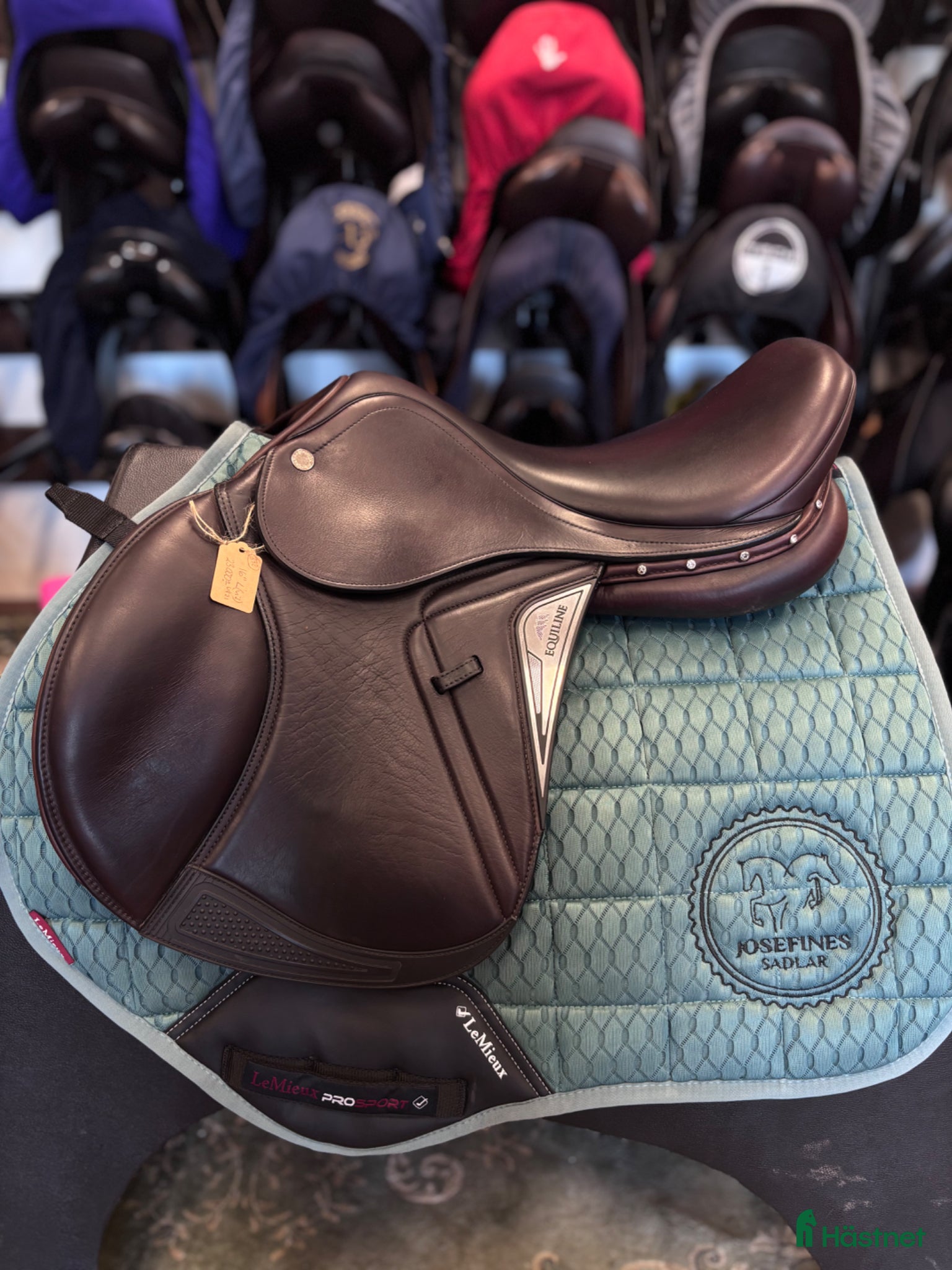 Sadlar hästutrustning Equiline Kloaser ✨ - Annons 2