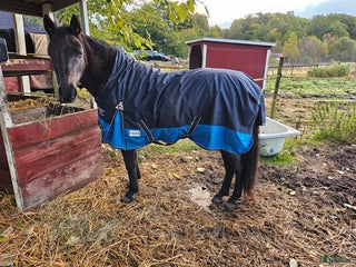 Täcken hästutrustning till salu: Nova regntäcke i Ullared - Annons 2