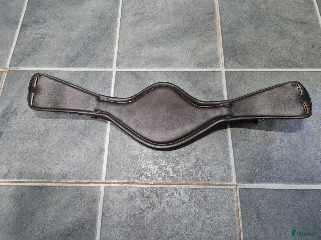 Sadeltillbehör hästutrustning till salu: Dressyrgjord i Borensberg - Annons 2