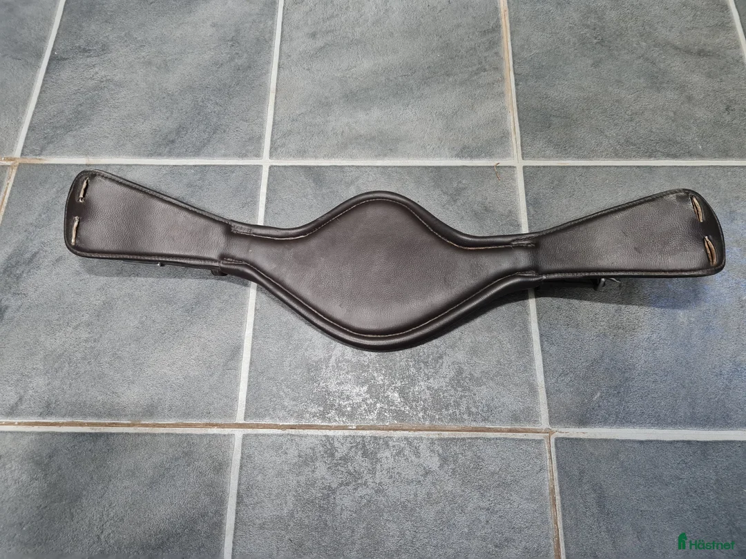 Sadeltillbehör hästutrustning till salu: Dressyrgjord - Annons 2