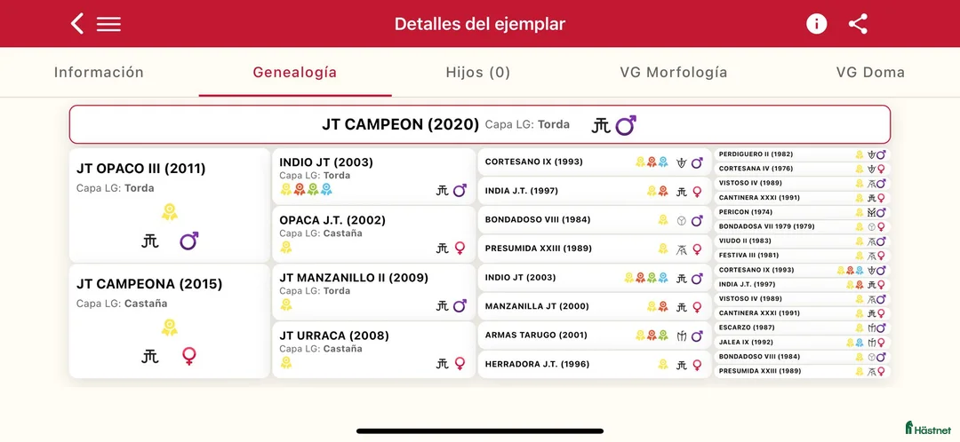 Allround hästar till salu: Underbar häst PRE  i Bredared - Annons 7