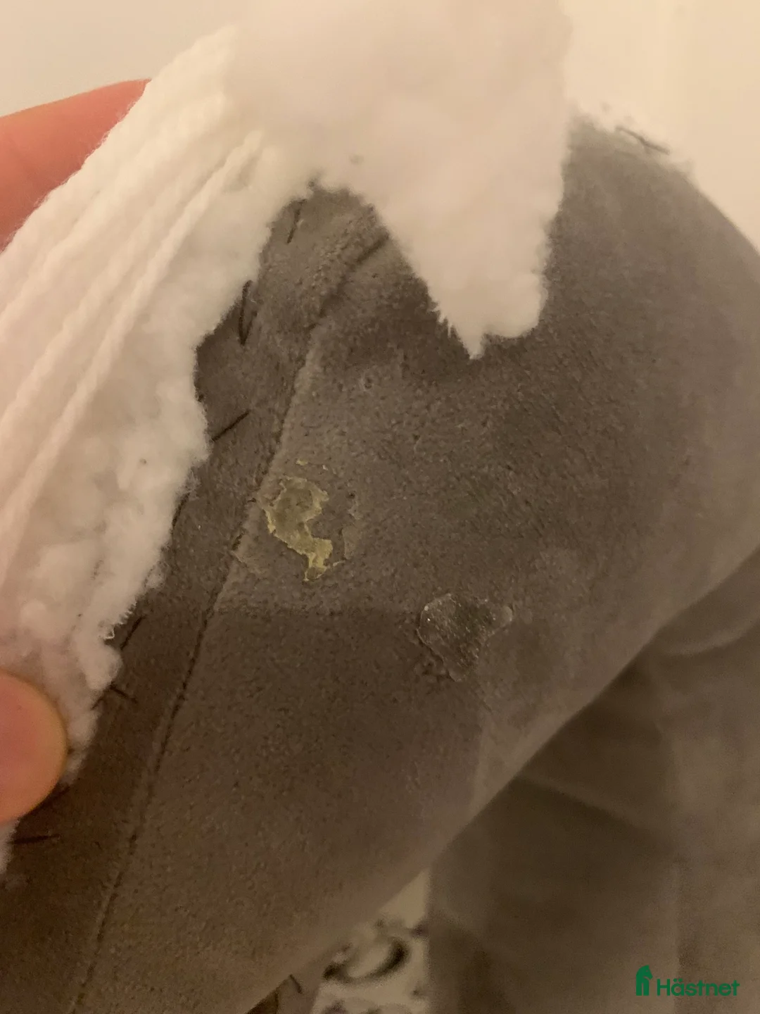 Hästinspirerad heminredning övrig utrustning till salu: Käpphästar i Haparanda - Annons 3