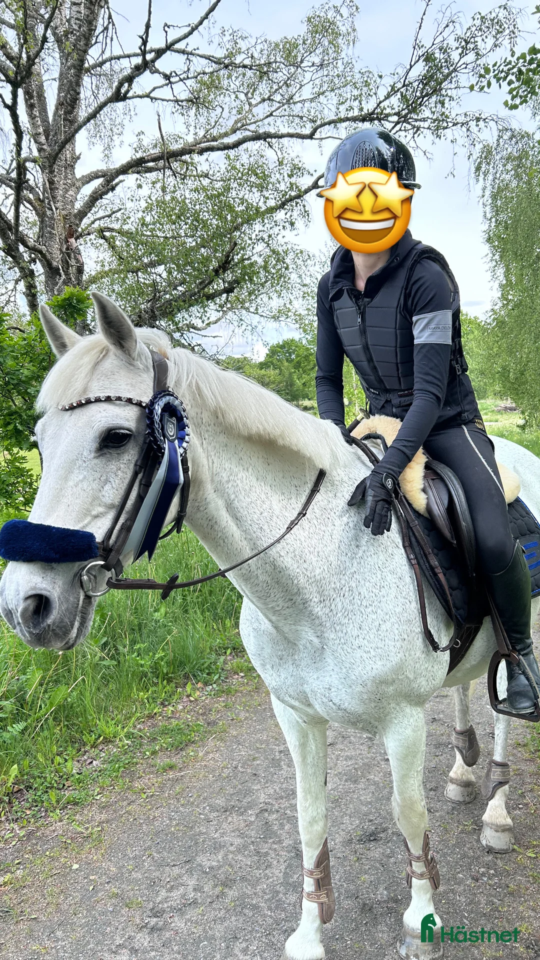 Allround hästar till salu: Trygg och snäll D-ponny – perfekt familjeponny i Skara - Annons 4