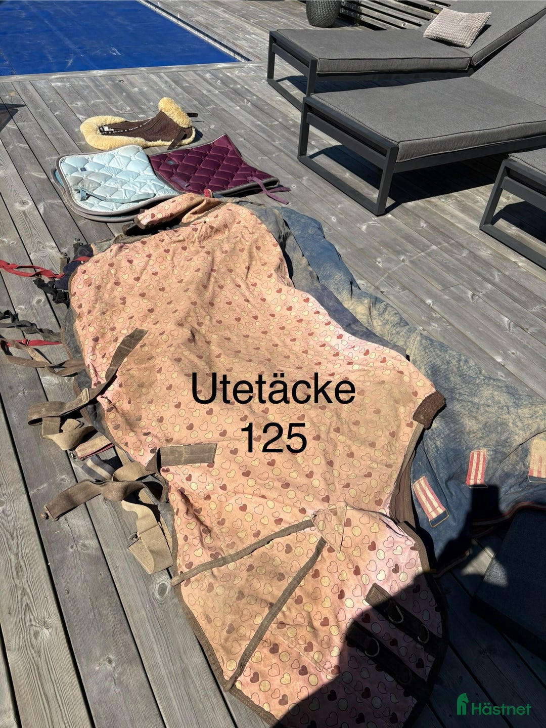 Övrig Hästutrustning hästutrustning till salu: Häst och ponny saker - Annons 3