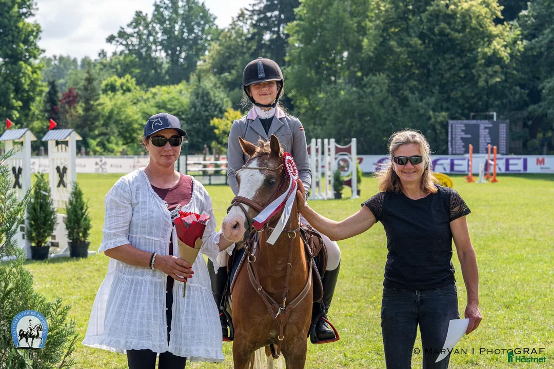 Hoppning hästar till salu: Welsh pony for sport - Annons 19