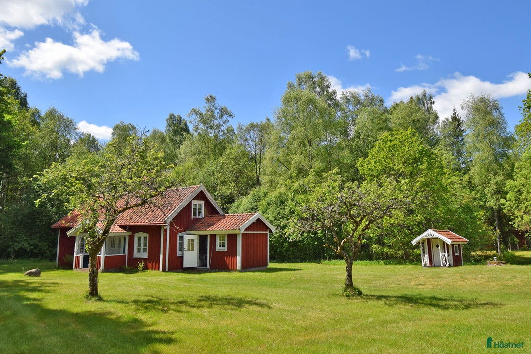  hästgårdar till salu: Genuin skogsgård i Ljungby - Bild 14