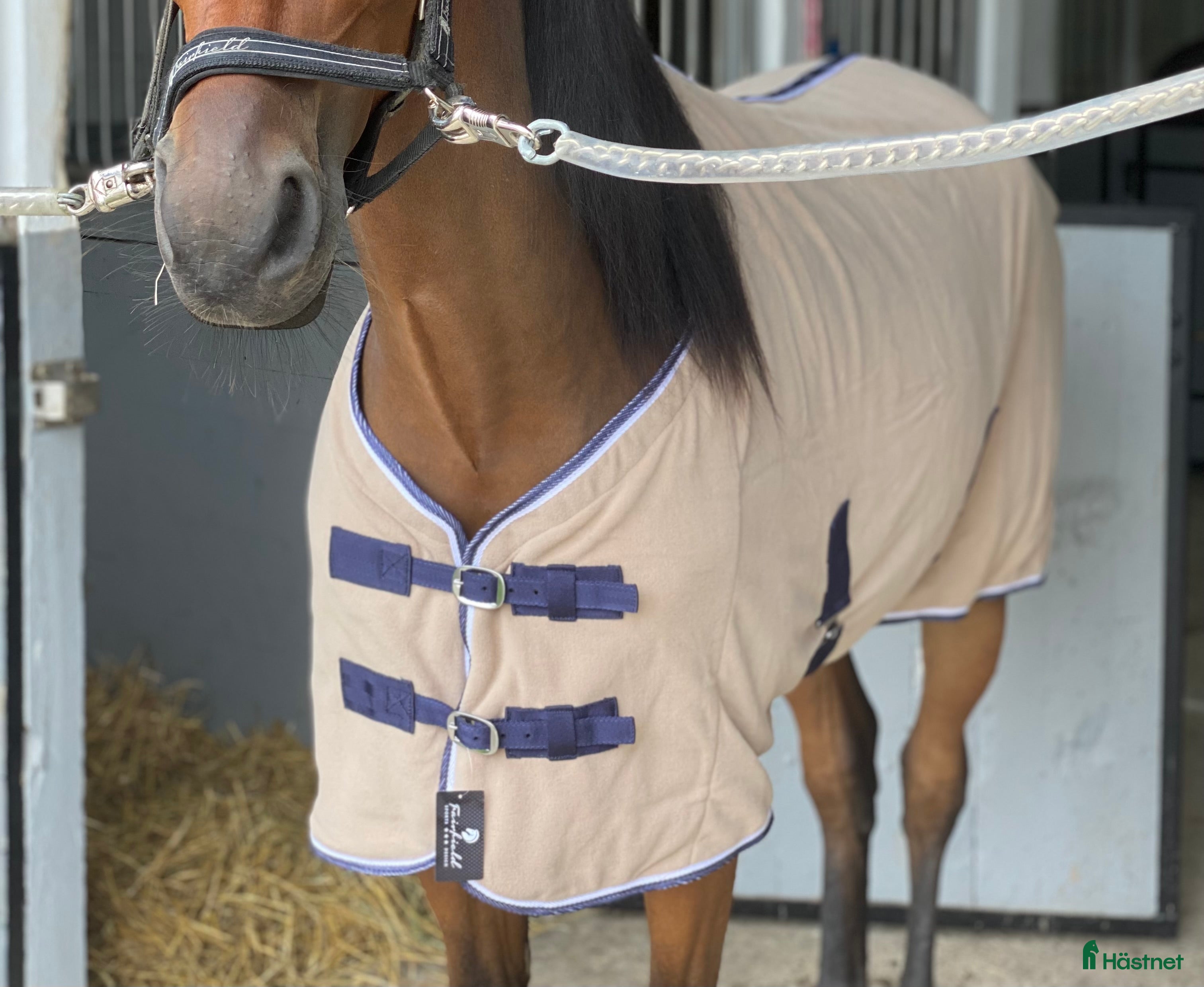 Täcken hästutrustning Svettäcken 125 - Annons 13