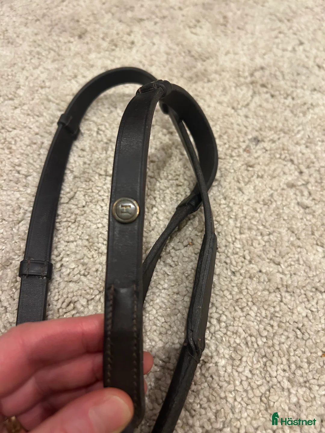 Träns hästutrustning till salu: Lädertyglar svarta och mörkbruna i Enhörna - Annons 7