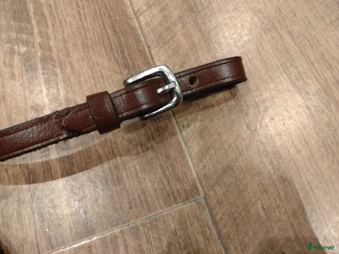 Träns hästutrustning till salu: MH tygel brun 315 cm - Annons 3