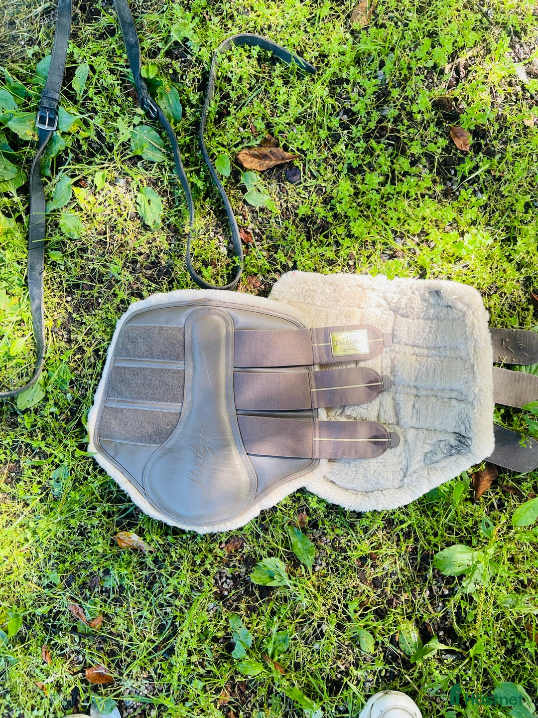 Benskydd hästutrustning till salu: Damasker i Uppsala - Annons 1