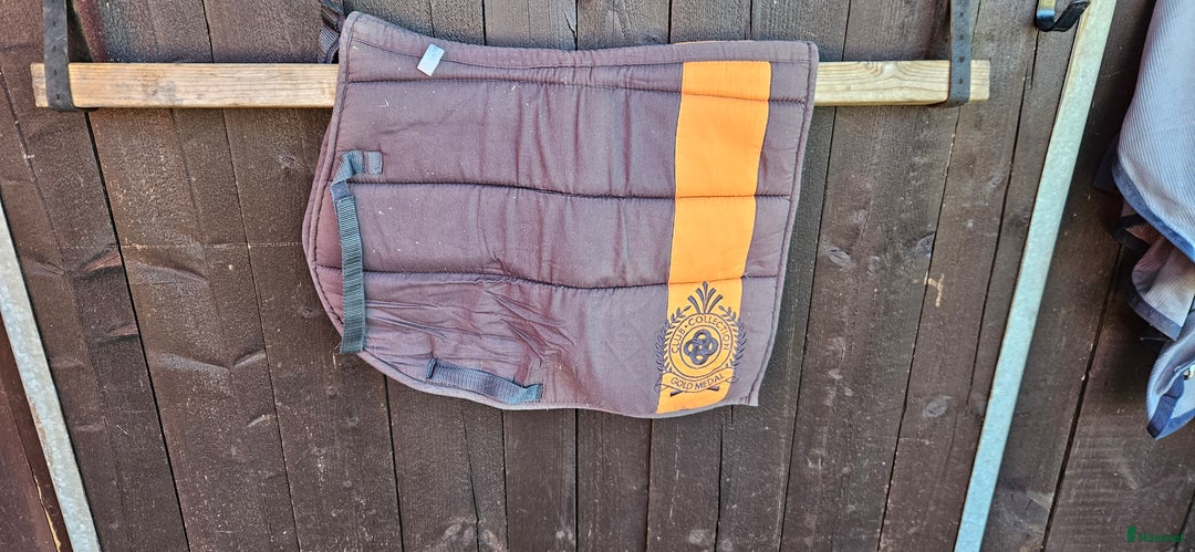 Övrig Hästutrustning hästutrustning till salu: Massa ponny saker i Vingåker - Annons 24