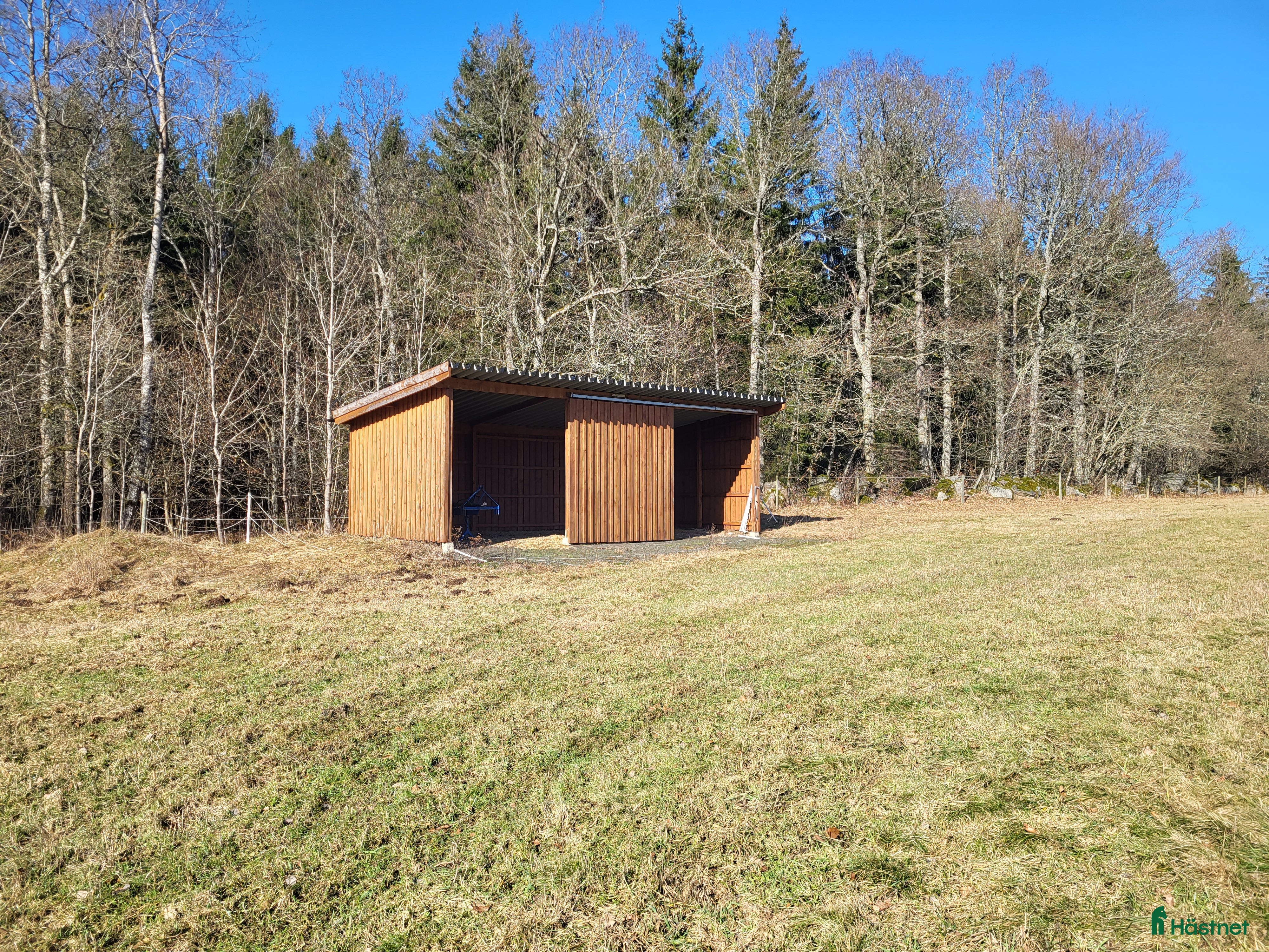  hästar Söker sällskap till min pensionär - Annons 1