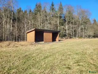 hästar Söker sällskap till min pensionär - Annons 1