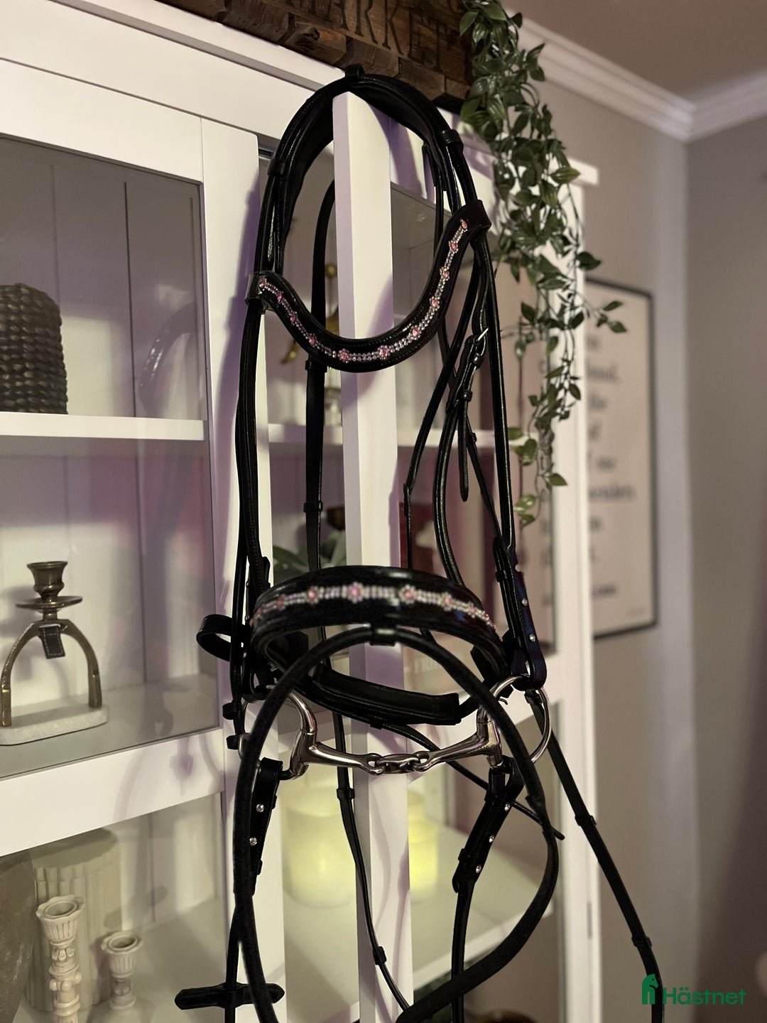 Träns hästutrustning till salu: UNIKT DRESSYRTRÄNS! i Stånga - Annons 1