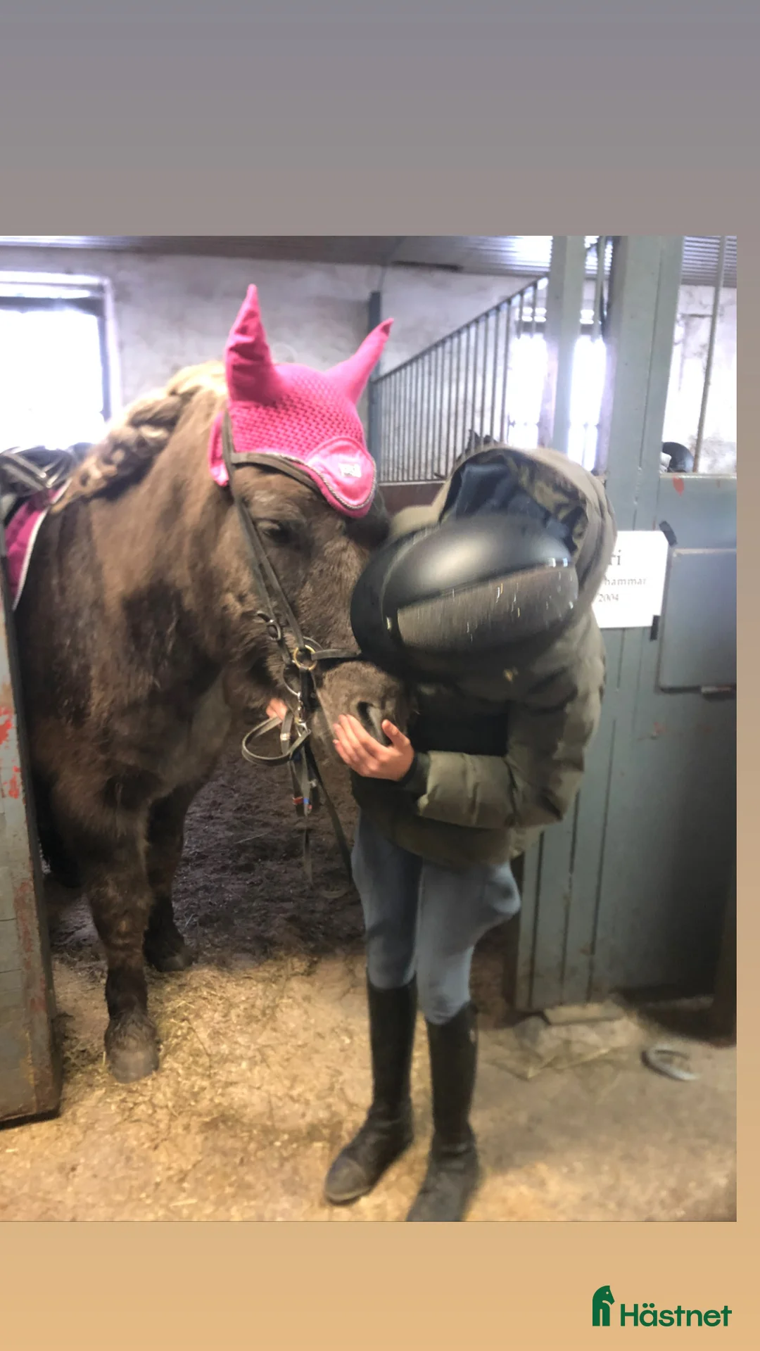  hästservice finnes: Ridläger i vackra Bergslagen! i Riddarhyttan - Annons 9