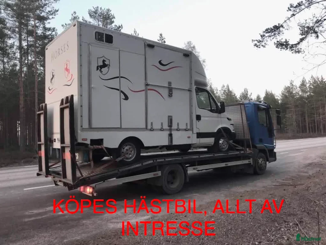Hästlastbilar  fordon & transport till salu: Köpes hästlastbil  i Uppsala - Annons 1