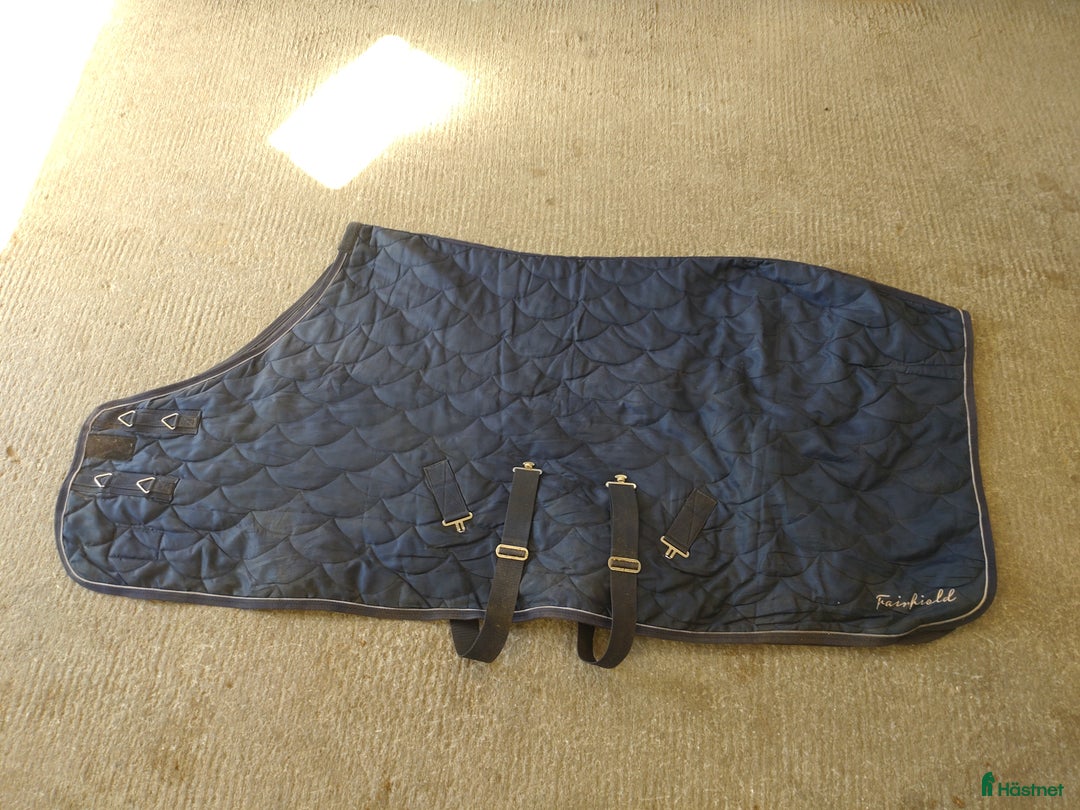 Övrig Hästutrustning hästutrustning till salu: Allt ska bort  i Knivsta - Annons 1