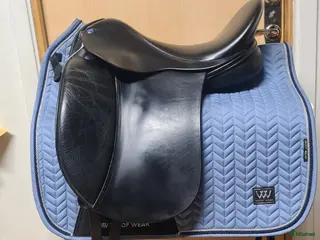 Sadlar hästutrustning Frank Baines Elegance i Hamneda - Annons 3