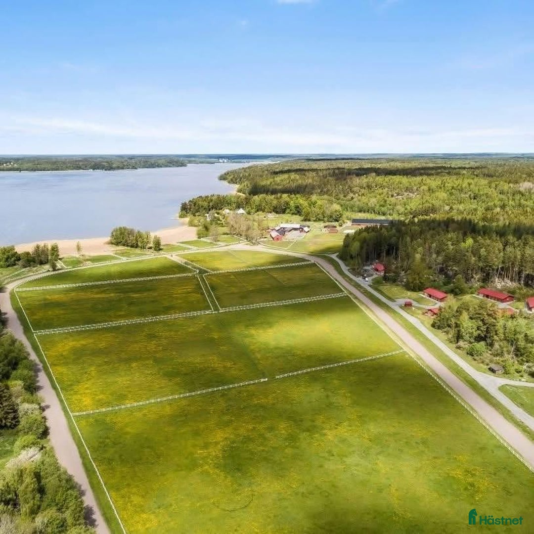  hästjobb finnes: EXTRAPERSONAL SÖKES OMGÅENDE - Sigtuna  i Sigtuna - Annons 2