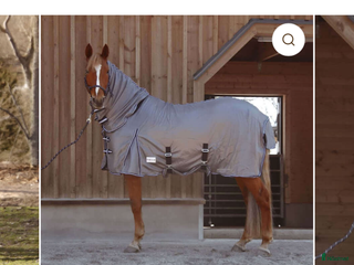 Täcken hästutrustning till salu: Nytt flugtäcke i Kil - Annons 10