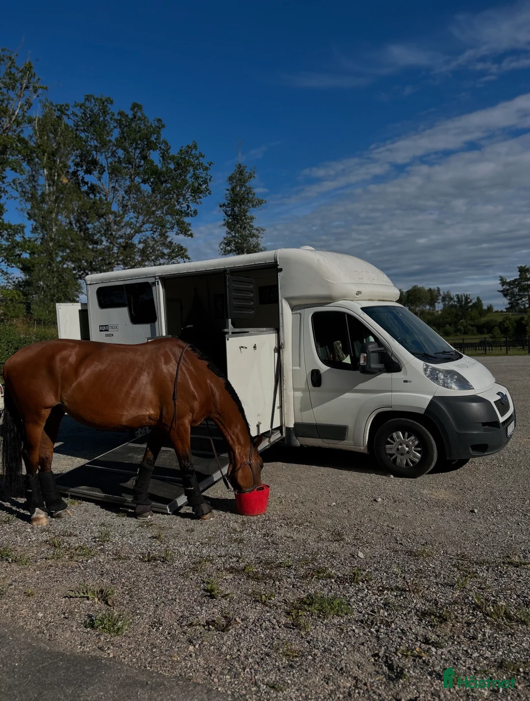 Hästlastbilar  fordon & transport till salu: Peugeot Equi-Trek Sonic säljes i Katrineholm - Annons 2