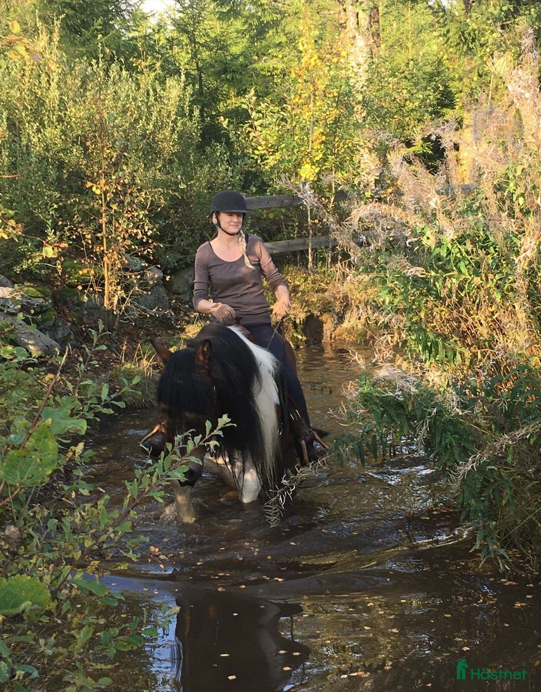 Galleribild {{count}}