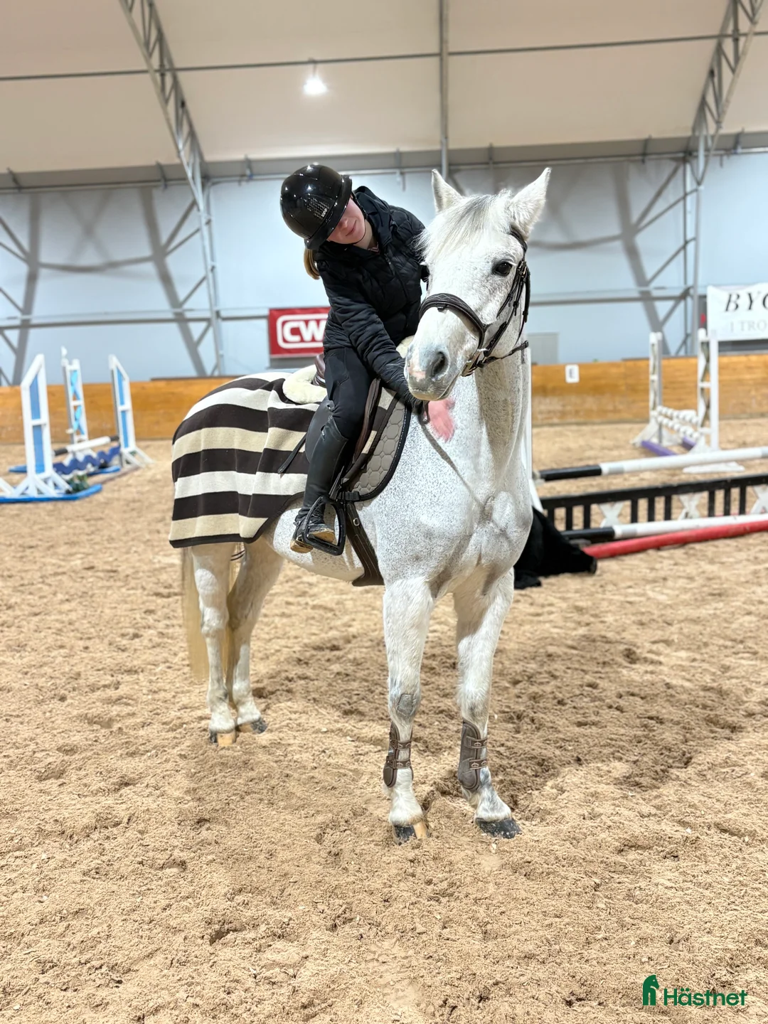 Hoppning hästar till salu: Perfekt läromästare! i Västra Tunhem - Annons 2