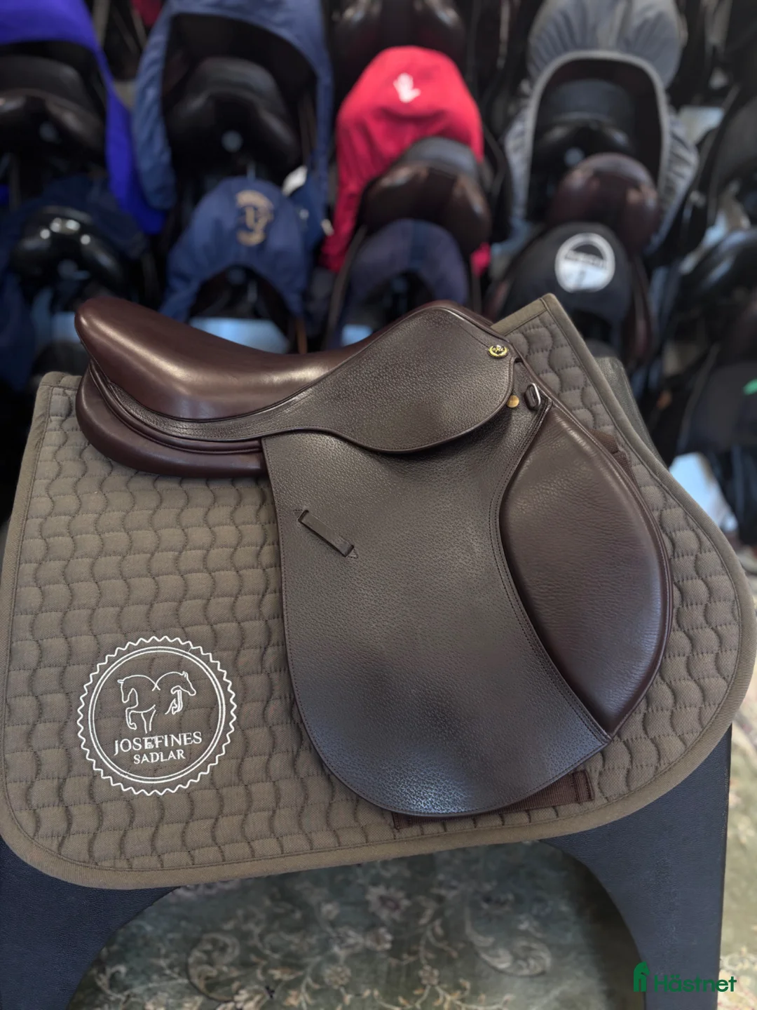 Sadlar hästutrustning till salu: Ordo Roma ✨ - Annons 1