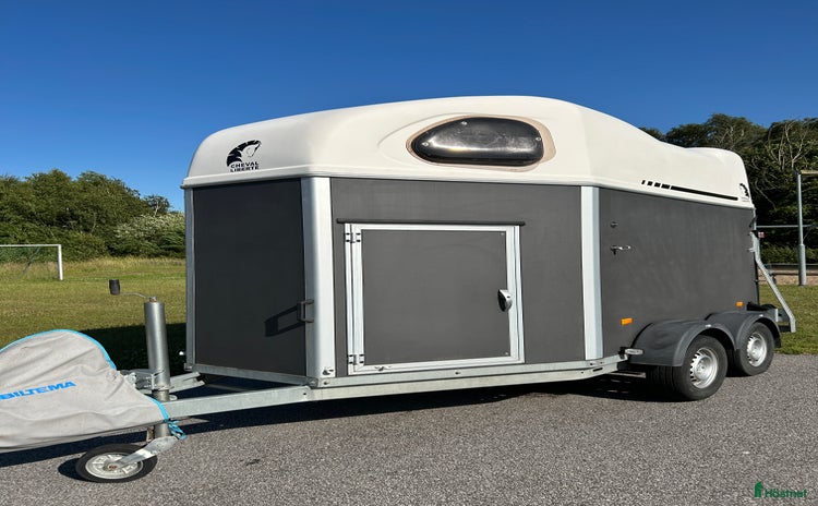 Hästtransporter  fordon & transport till salu i Löddeköpinge - Annons 5