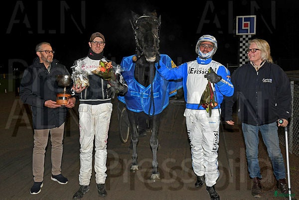  hästar V75 vinnaren The Black Rose  i Halmstad - Annons 12