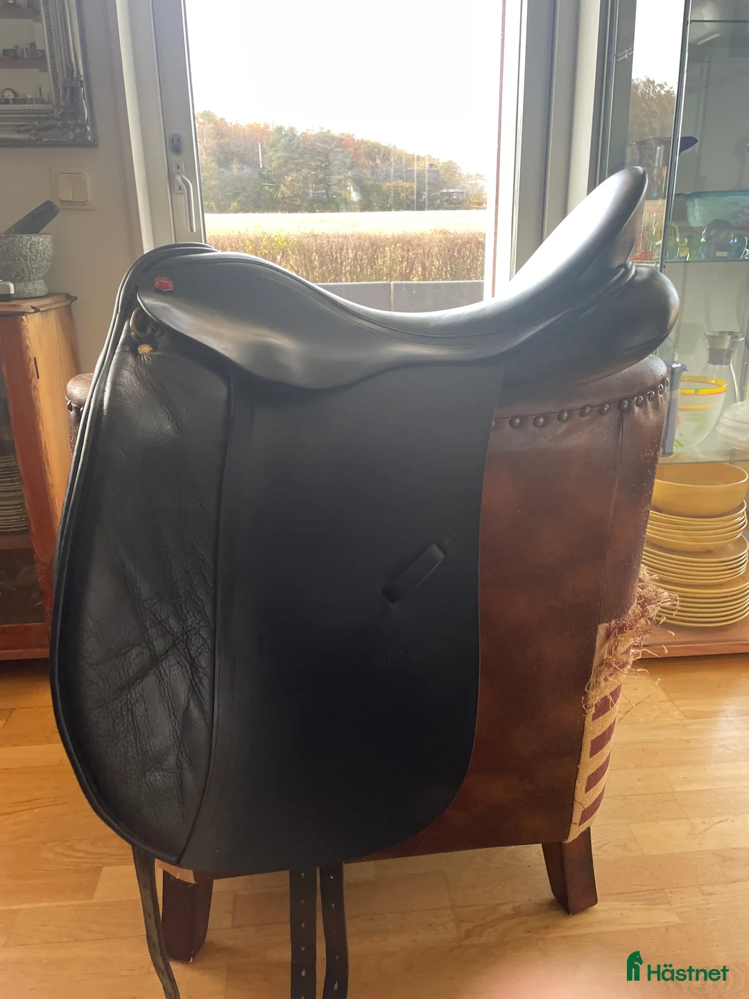 Sadlar hästutrustning till salu: Dressyrsadel Albion Legend K2 - Annons 2