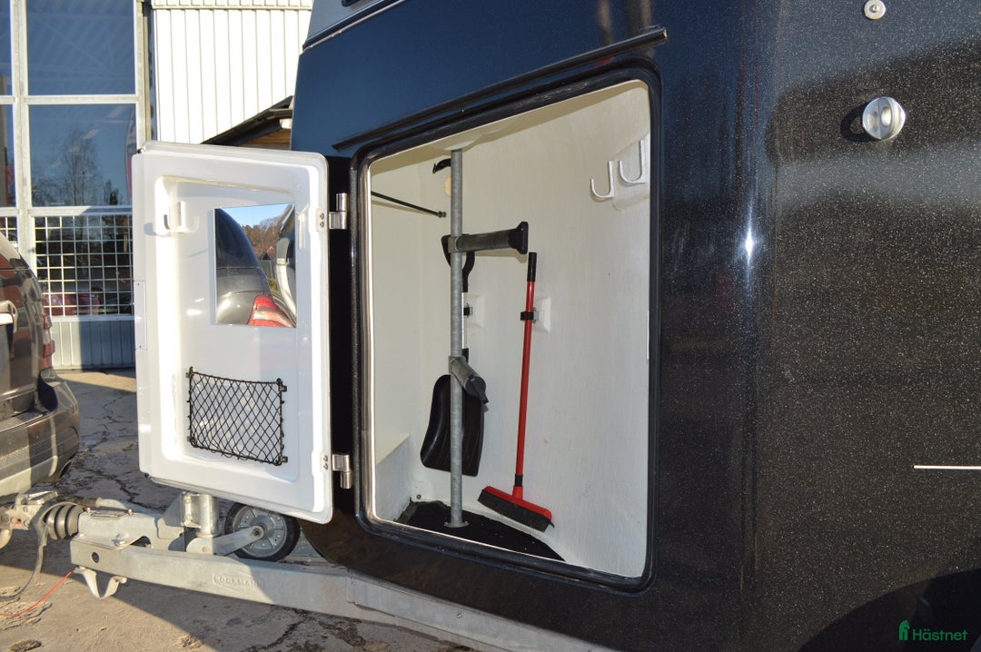 Hästtransporter  fordon & transport till salu: Böckmann Comfort 2017, 1850 kg - Annons 5