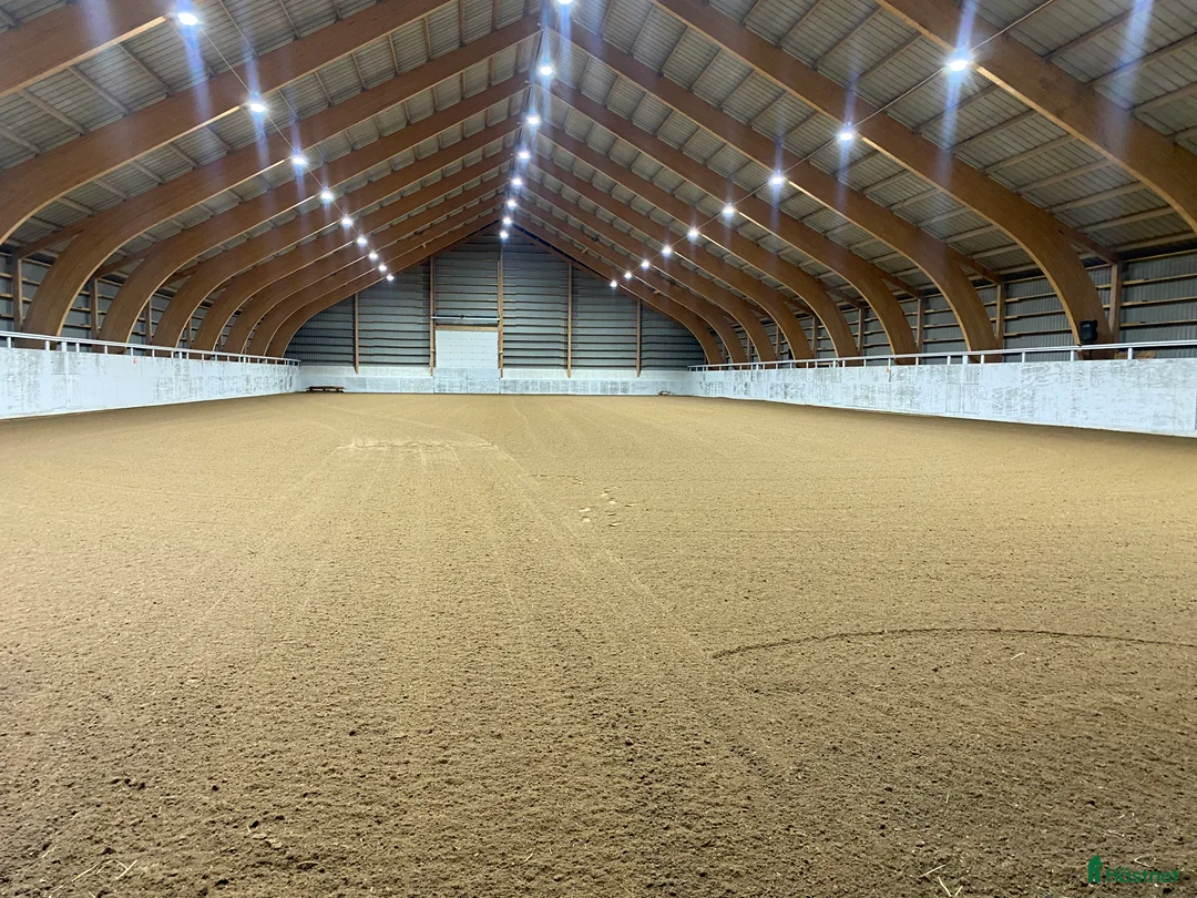 Galleribild {{count}}