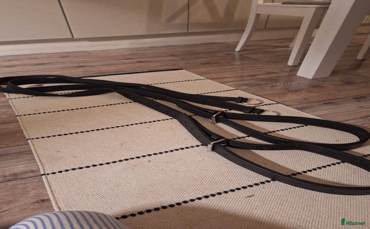 Körselar körning till salu: Dragläder i Näsviken - Annons 19