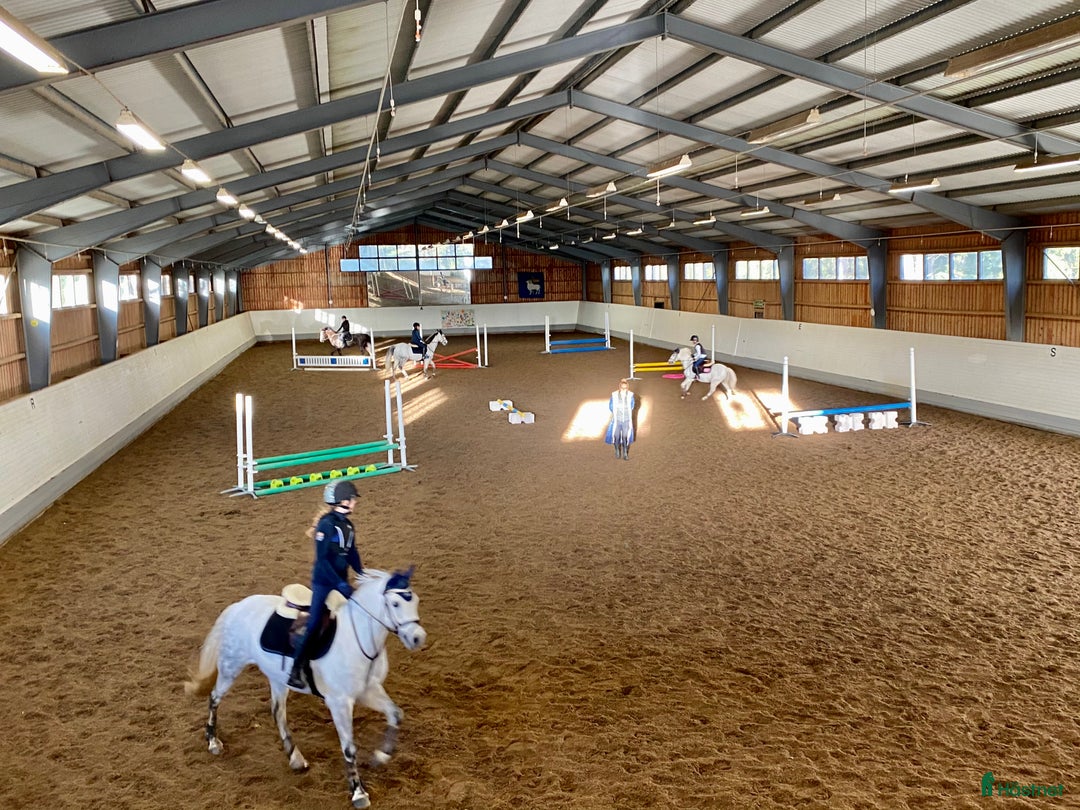  stallplats finnes: Behöver du stallplats på Ekerö?  i Skå - Annons 10