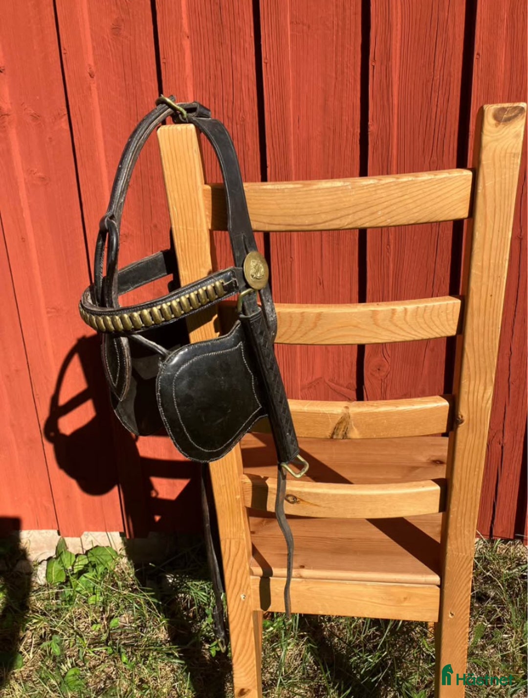 Övrig Hästutrustning hästutrustning till salu: Ovanlig sele och träns i Forserum - Annons 6