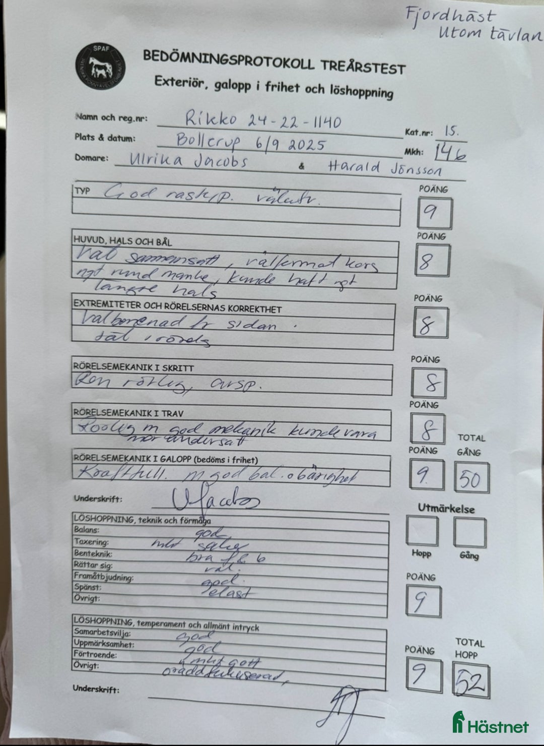 Allround hästar till salu: Unik 3 års hingst (kan bli valack) i Genarp - Annons 8