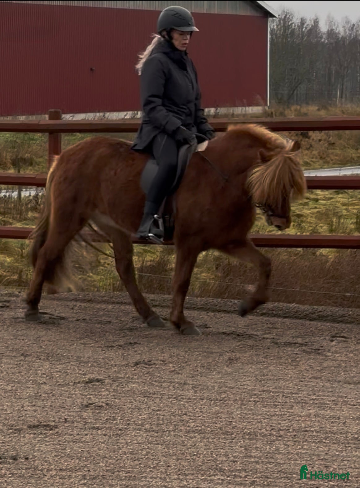  hästar Underbart ungsto! i Skepplanda - Annons 1