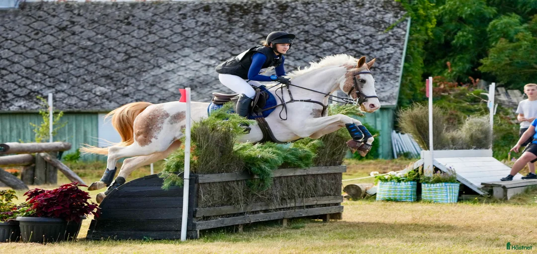 Galleribild {{count}}